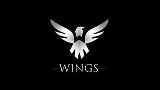 Wings新计划：不仅会有CSGO和LOL战队，还要进军《王者荣耀》