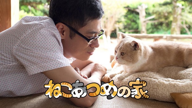 《猫咪后院》电影版猫咪演员阵容公布，照片治愈感满满