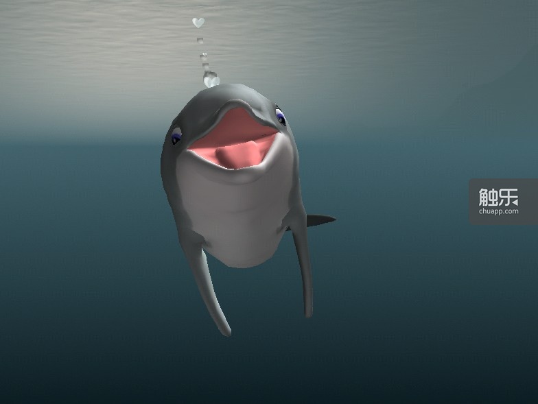 捕食成功之后，海豚会显露标志性的微笑