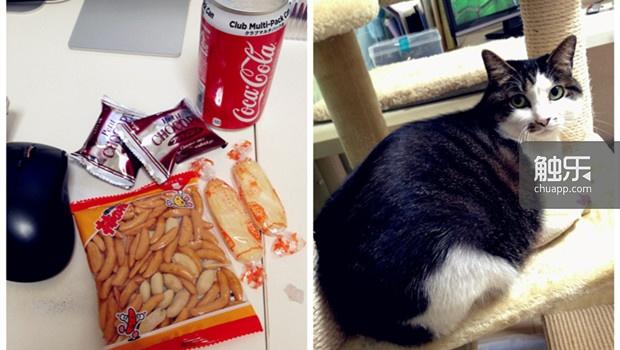 丈夫桌上的零食越来越少，而我们的猫却是越来越胖了……