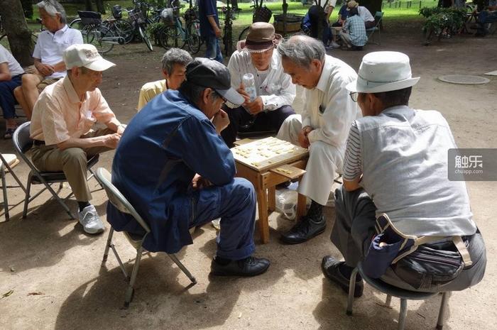 在和平公园里下棋的人们。图片来自提问的推特主
